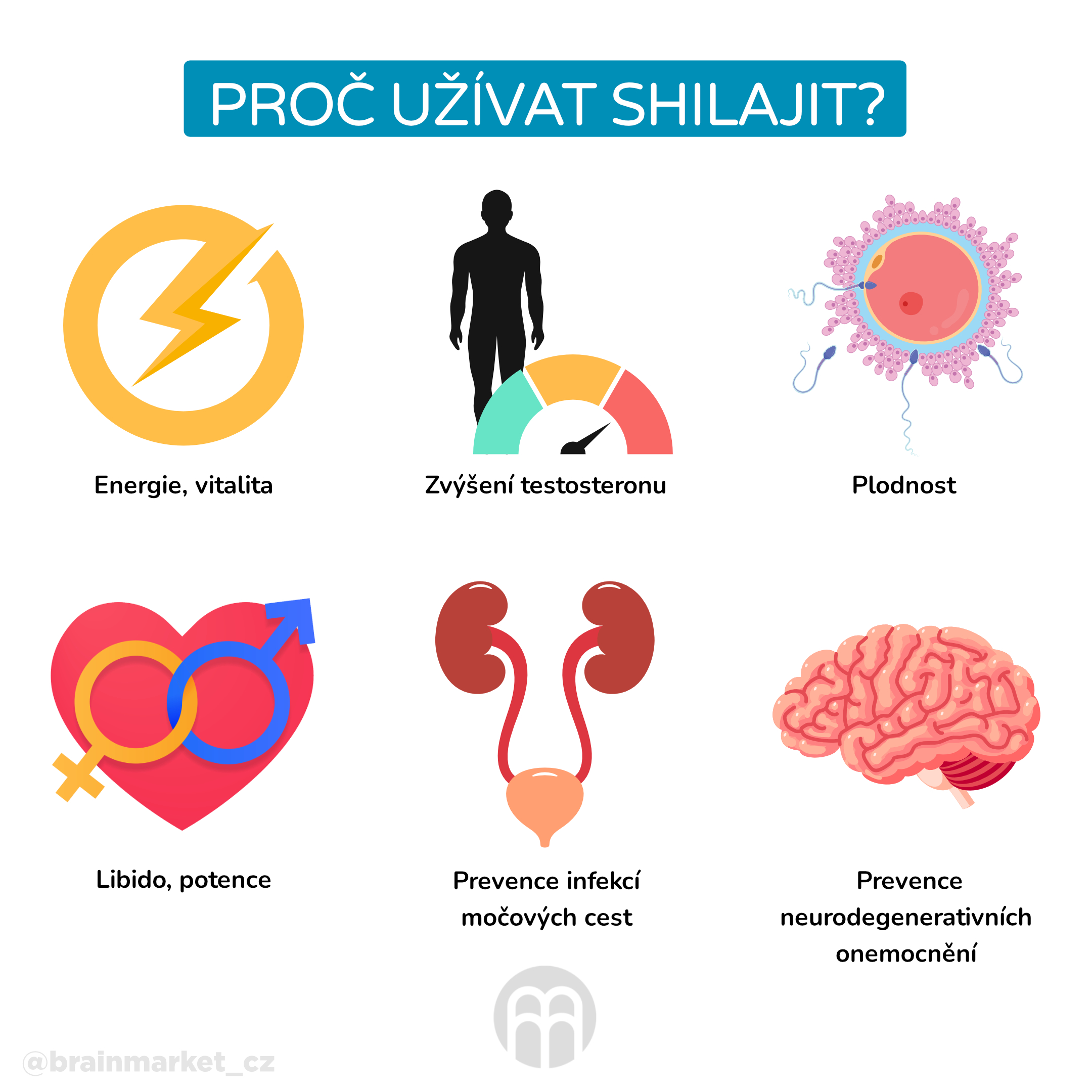 Proč užívat Shilajit__infografika_cz